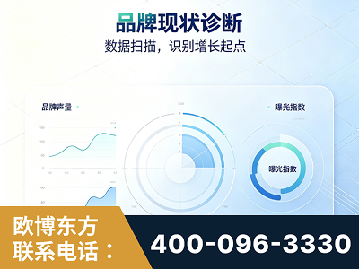 公主岭-品牌现状诊断