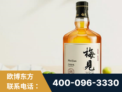 公主岭-梅见青梅酒